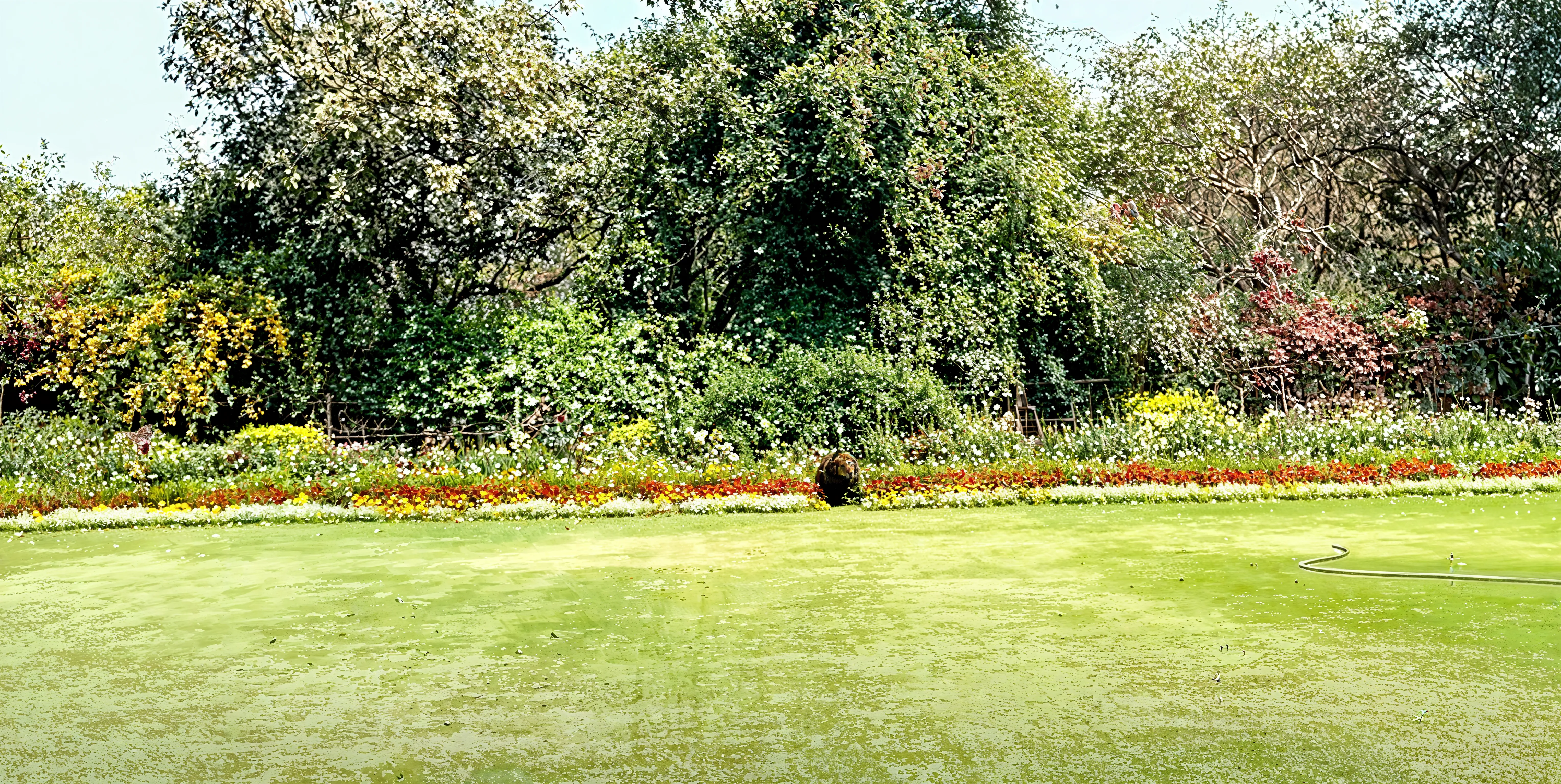 Maitreyi College Campus photo 15